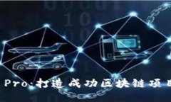 TokenIM ICO Pro：打造成功区