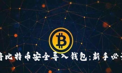 如何将比特币安全导入钱包：新手必读指南