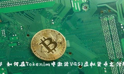 ### 如何在Tokenim中激活VGS（虚拟货币支付服务）
