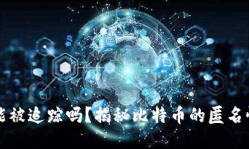 比特币钱包能被追踪吗？揭秘比特币的匿名性与追踪技术
