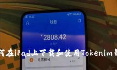 如何在iPad上下载和使用