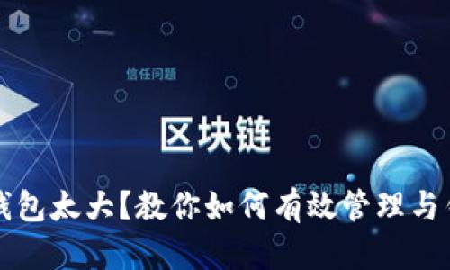 比特币钱包太大？教你如何有效管理与钱包空间