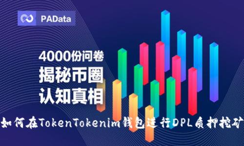 如何在TokenTokenim钱包进行DPL质押挖矿