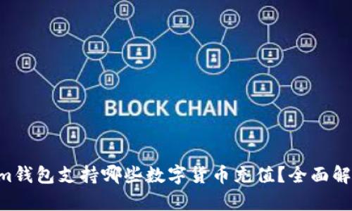 Tokentokenim钱包支持哪些数字货币充值？全面解析及使用指南