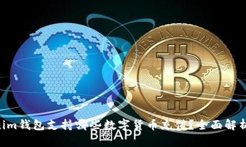 Tokentokenim钱包支持哪些数字货币充值？全面解析及使用指南