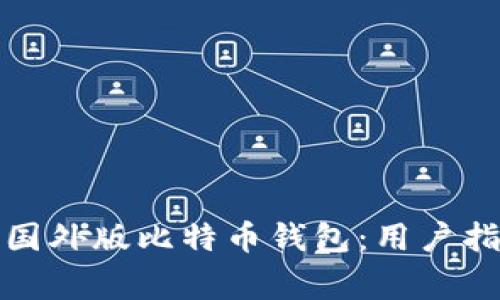 如何安全下载国外版比特币钱包：用户指南与注意事项