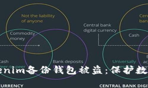 如何有效防止Tokenim备份钱包被盗：保护数字资产的全面指南
