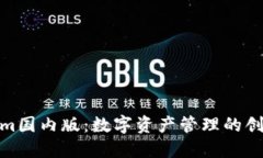 Tokenim国内版：数字资产管