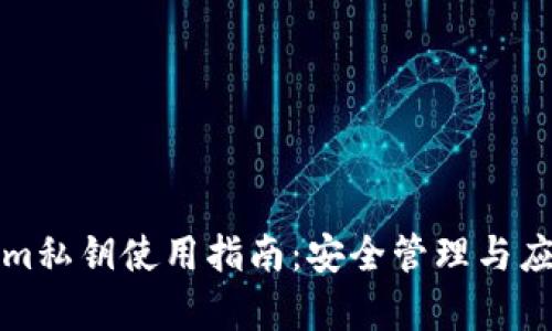 Tokenim私钥使用指南：安全管理与应用解析