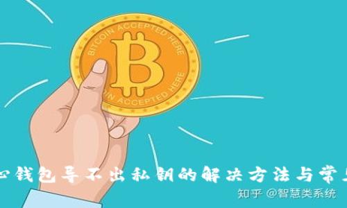 比特币核心钱包导不出私钥的解决方法与常见问题解析