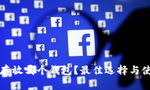 瑞波币存放哪个钱包?最佳选择与使用指南