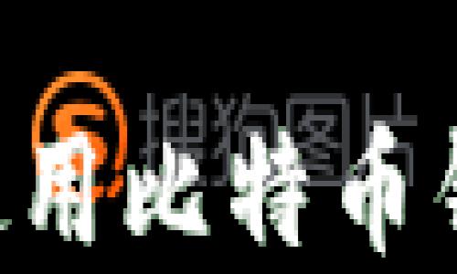 
如何安全下载和使用比特币钱包：新手必看指南