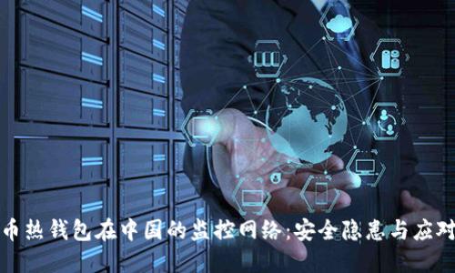 比特币热钱包在中国的监控网络：安全隐患与应对策略