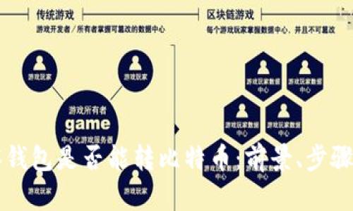 ### 观察钱包是否能转比特币：前景、步骤与挑战解析