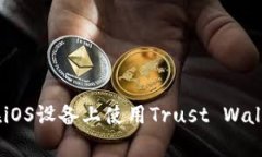 : 全面解析：如何在iOS设备