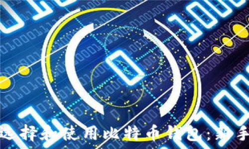   
如何选择和使用比特币钱包：新手指南