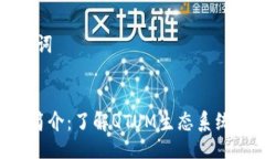 ### 与关键词QTUM Token简介：