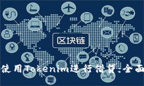 如何使用Tokenim进行借贷：全面指南