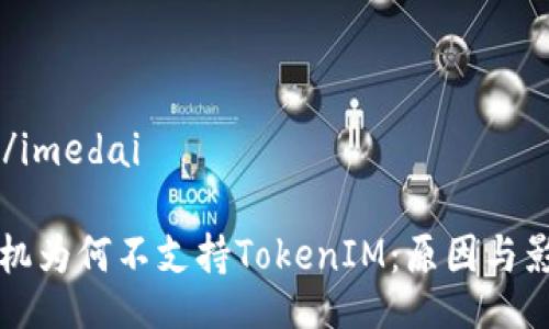 imedai/imedai

苹果手机为何不支持TokenIM：原因与影响解析