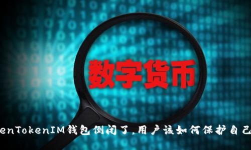 如果TokenTokenIM钱包倒闭了，用户该如何保护自己的资产？