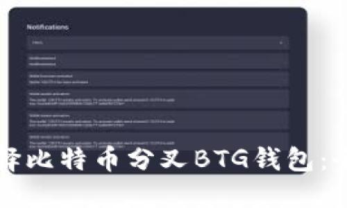 如何选择比特币分叉BTG钱包：全面指南