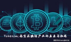 Tokenim：南京区块链产业的