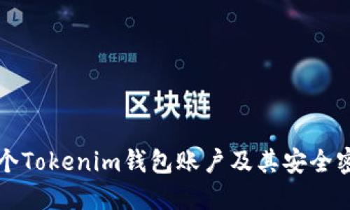 如何创建多个Tokenim钱包账户及其安全密码管理指南