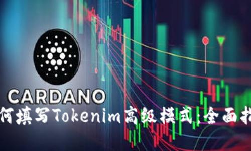 如何填写Tokenim高级模式：全面指南