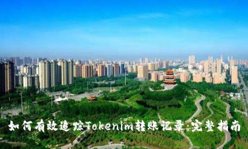 如何有效追踪Tokenim转账记录：完整指南