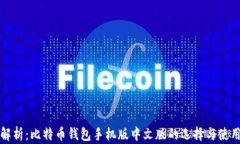 全面解析：比特币钱包手