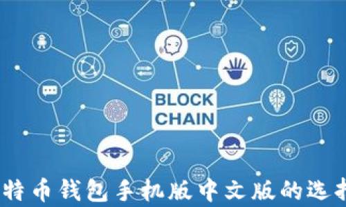 
全面解析：比特币钱包手机版中文版的选择与使用指南
