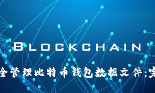 如何安全管理比特币钱包数据文件：完整指南