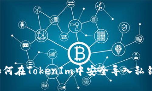 如何在TokenIm中安全导入私钥？