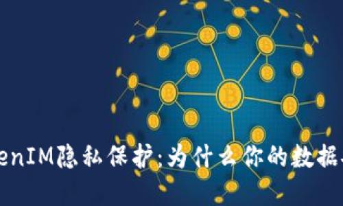 深入理解TokenIM隐私保护：为什么你的数据安全至关重要