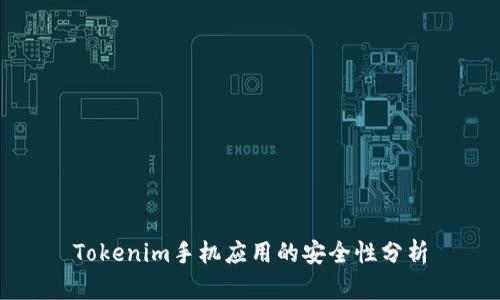 Tokenim手机应用的安全性分析