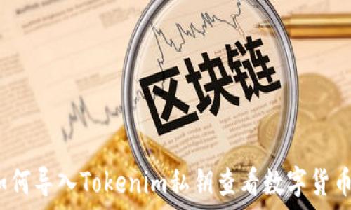  

如何导入Tokenim私钥查看数字货币？