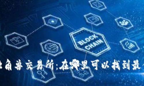TokenIM钱包独角兽交易所：在哪里可以找到最优质的交易平台