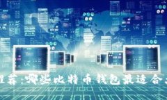2023年推荐：哪些比特币钱包最适合大众用户？