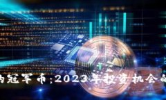 Tokenim的冠军币：2023年投资