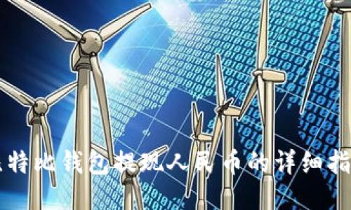 比特比钱包提现人民币的详细指南