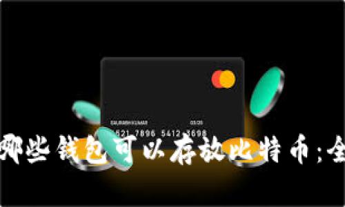 : 了解哪些钱包可以存放比特币：全面指南