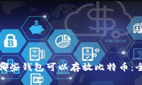 : 了解哪些钱包可以存放比特币：全面指南