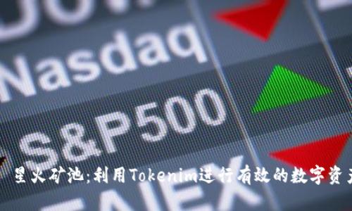 ### 星火矿池：利用Tokenim进行有效的数字资产投资