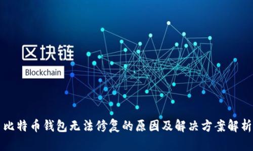 比特币钱包无法修复的原因及解决方案解析