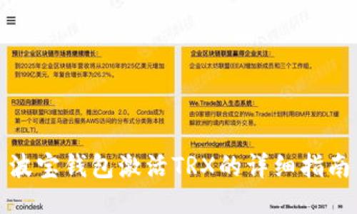 波宝钱包激活TRX的详细指南