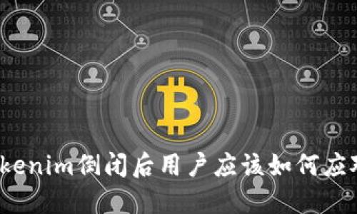 Tokenim倒闭后用户应该如何应对？
