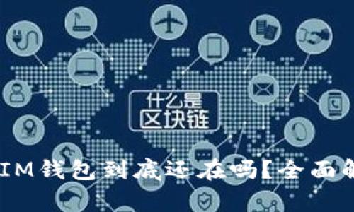 : TokenTokenIM钱包到底还在吗？全面解析与用户指南