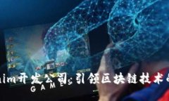 Tokenim开发公司：引领区块