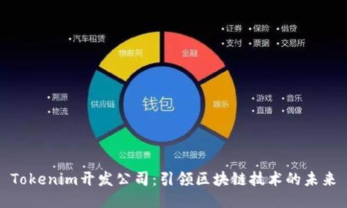 Tokenim开发公司：引领区块链技术的未来