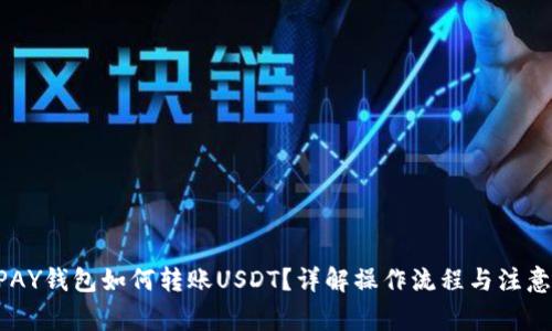  CGPAY钱包如何转账USDT？详解操作流程与注意事项